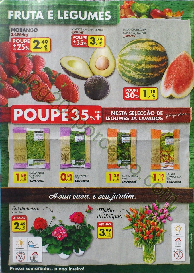 pingo doce 8 14 marco_4.jpg