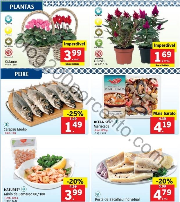 Promoções-Descontos-24141.jpg
