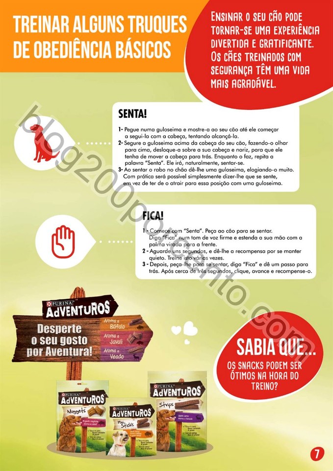 pingo doce pets 8.jpg