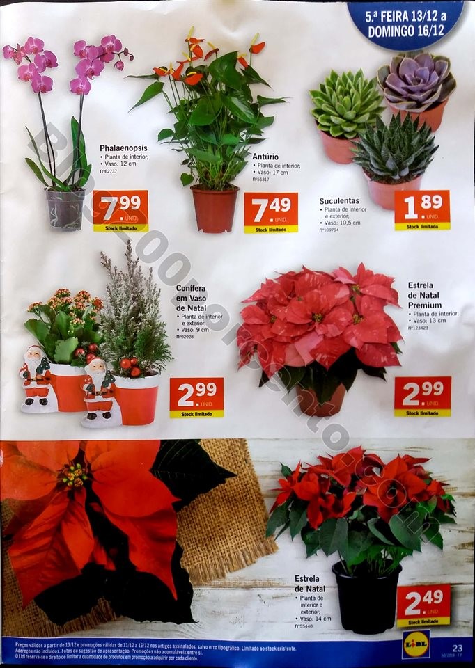 lidl folheto 10 a 16 dezembro_23.jpg