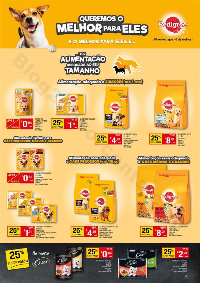 Pets CONTINENTE 14 janeiro p3.jpg