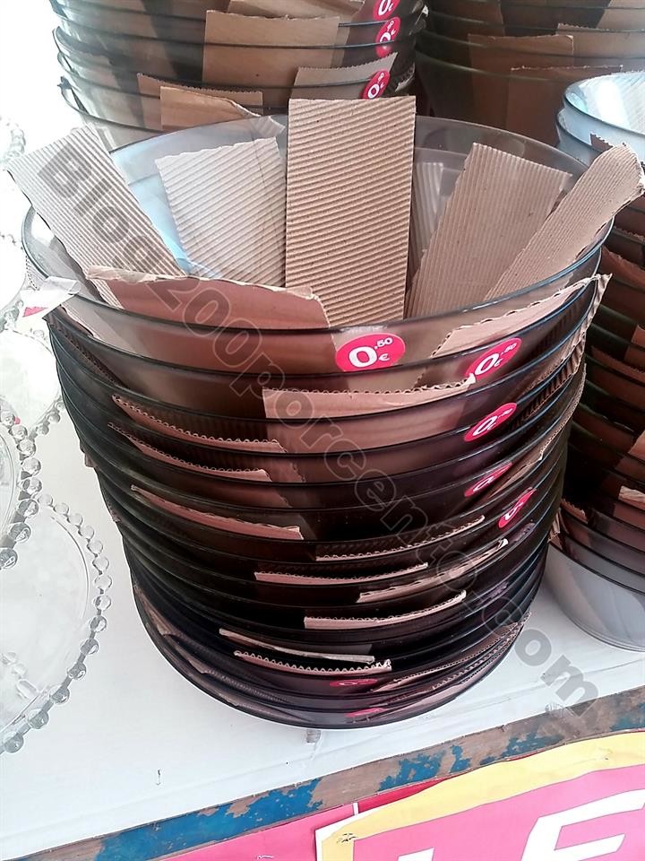 Avista 19 julho_5.jpg