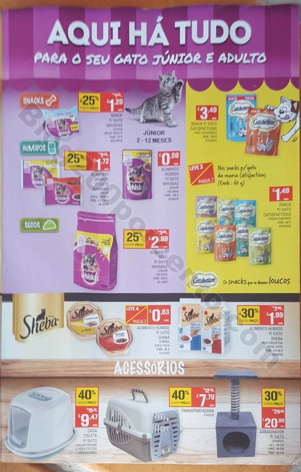 pets 16 janeiro (6).jpg