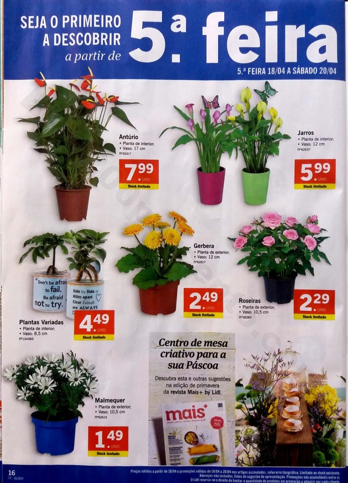 antevisao folheto lidl promocoes páscoa de 15 a 2