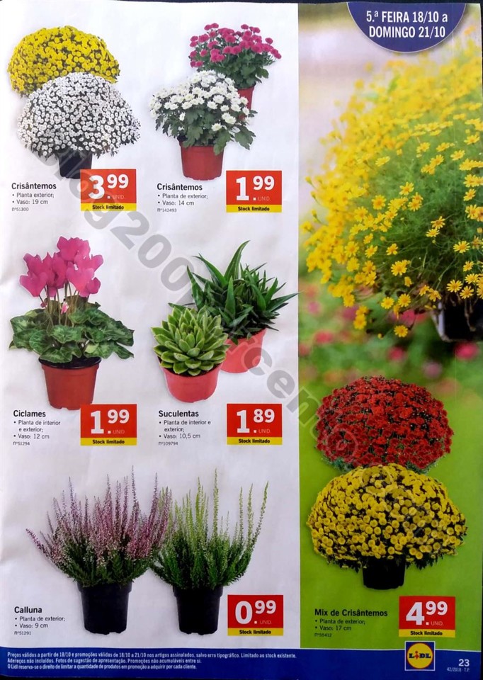 folheto lidl poupe de 15 a 21 outubro promocoes_23