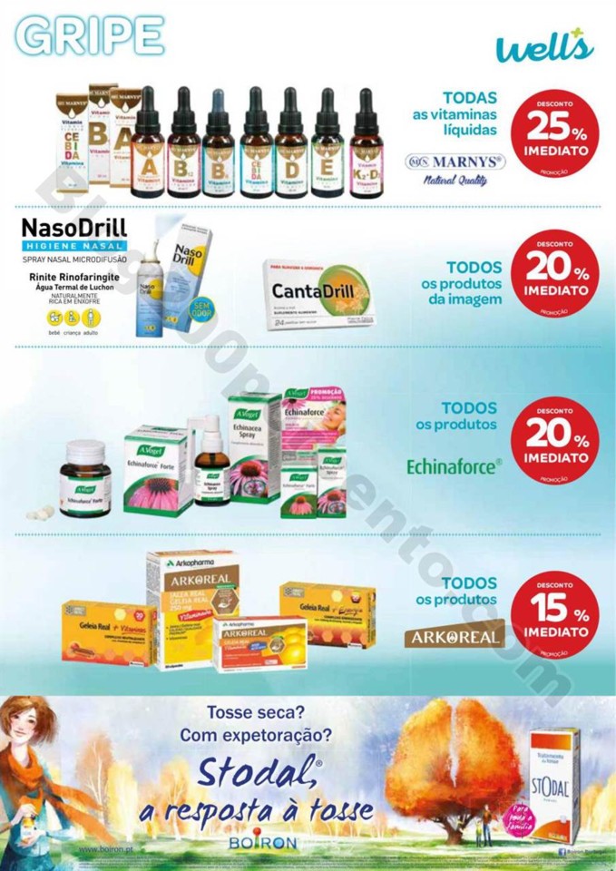 Antevisão Folheto WELLS Inverno de 27 dezembro a 