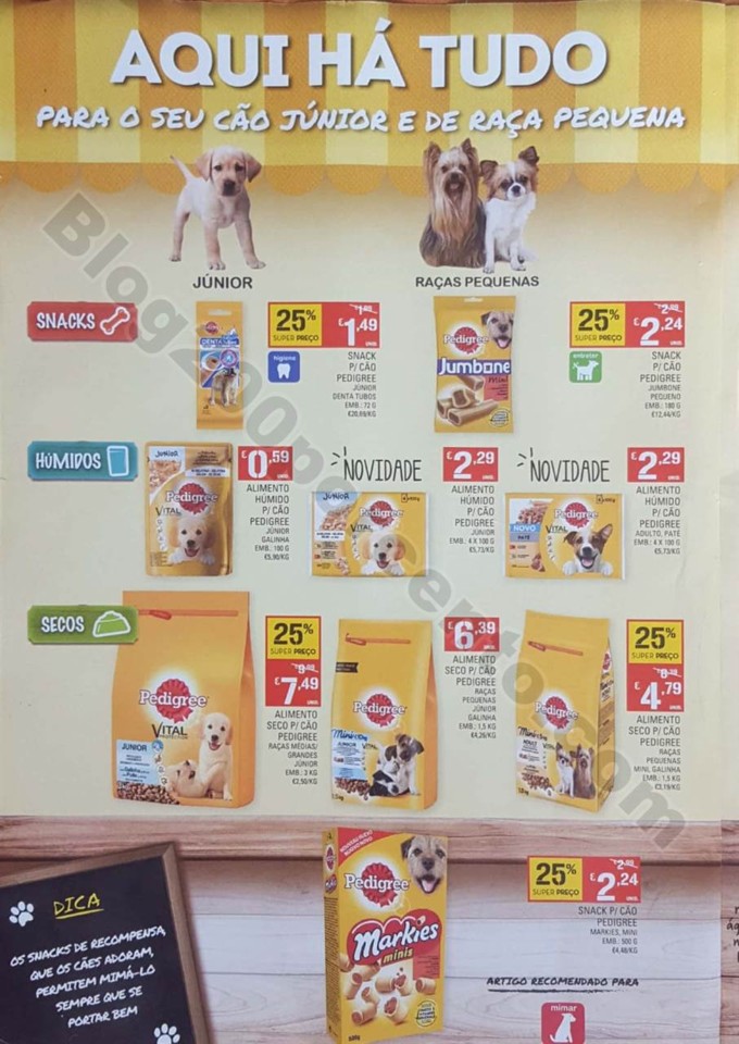 pets 16 janeiro (3).jpg