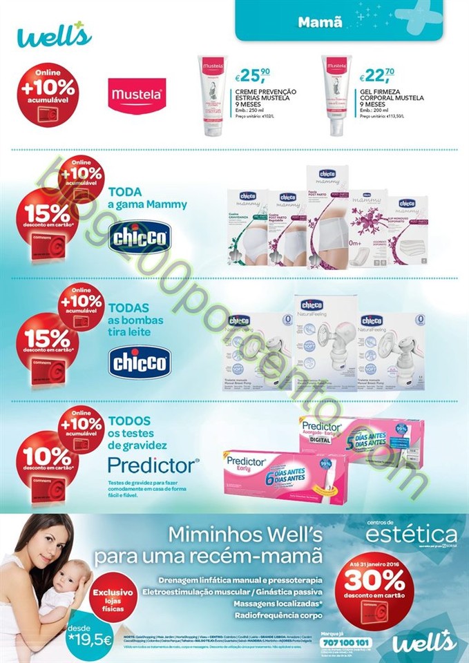 Novo Folheto WELLS Promoções de12 janeiro a 7 fe