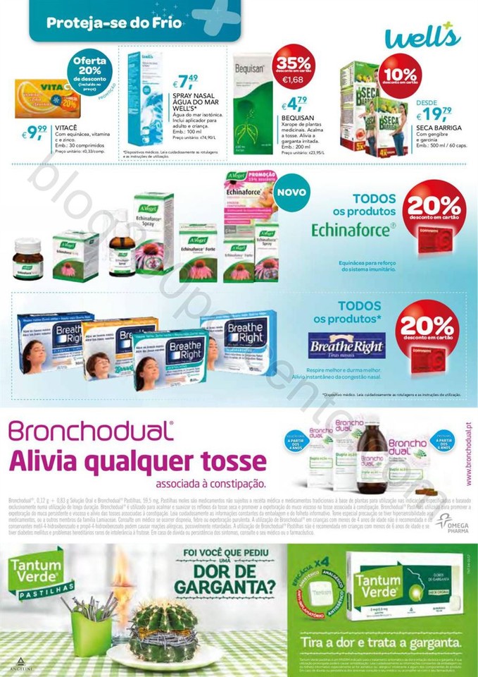 Antevisão Folheto WELLS Promoções de 24 janeiro