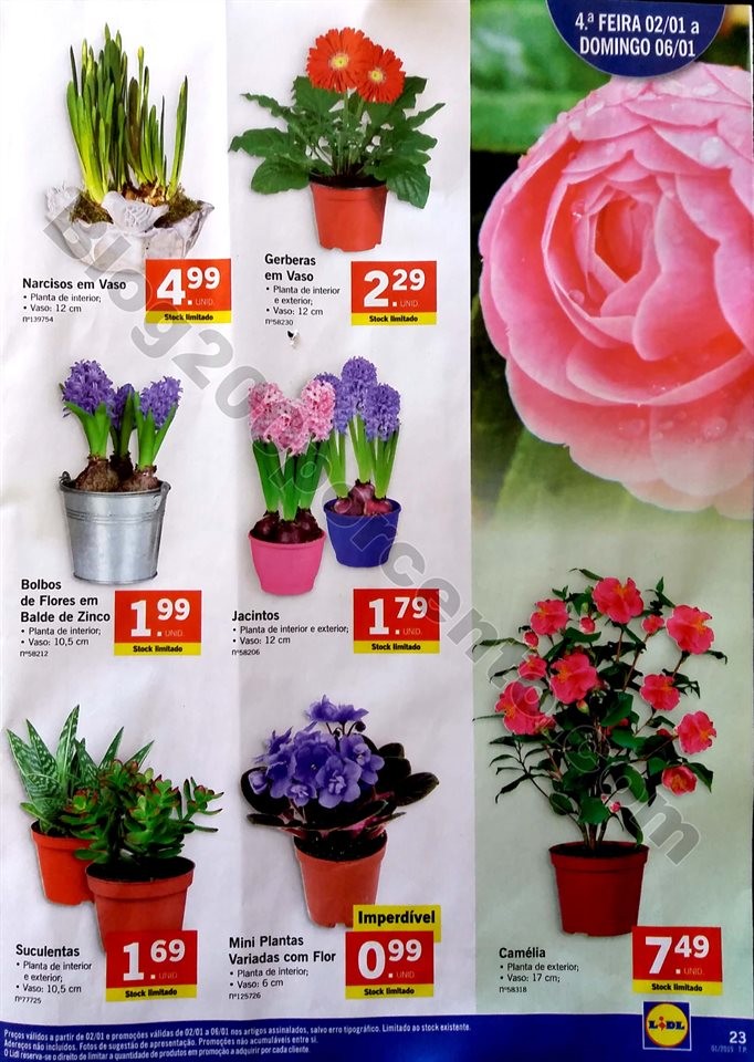 lidl 2 a 6 janeiro_23.jpg