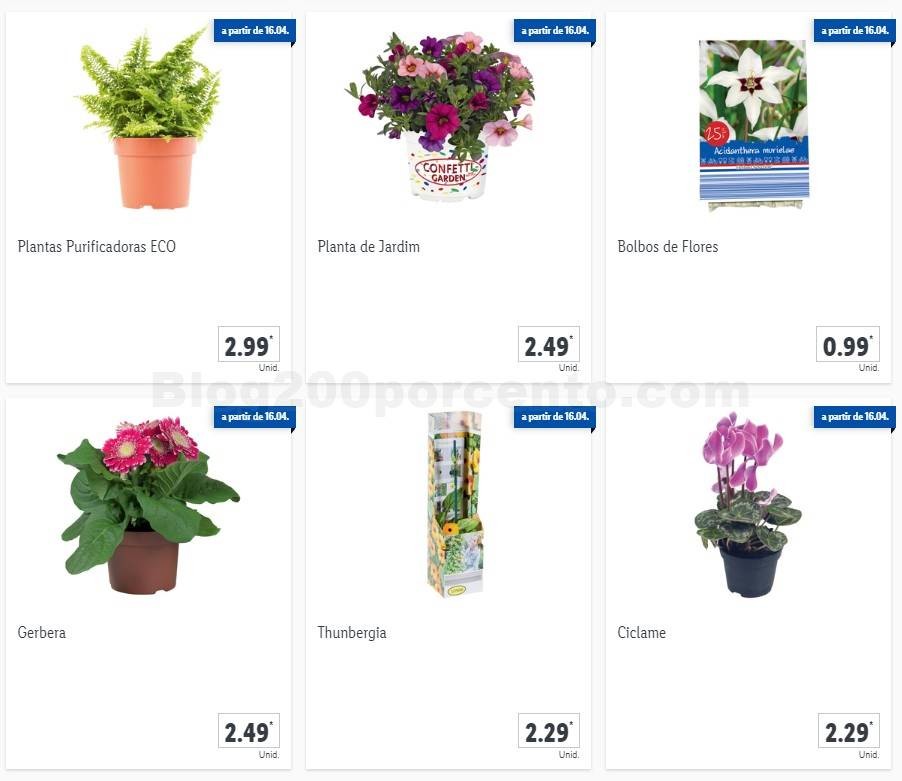 01 Promoções-Descontos-37178.jpg