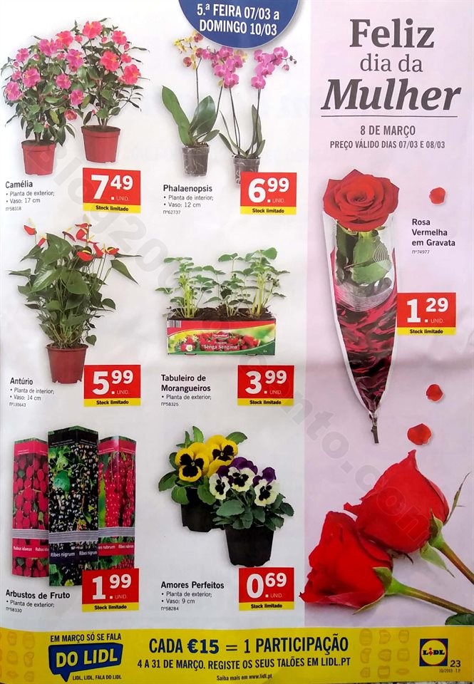 antevisao folheto lidl 4 a 10 março_23.jpg