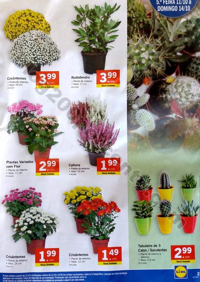 lidl semana 8 a 14 outubro_23.jpg