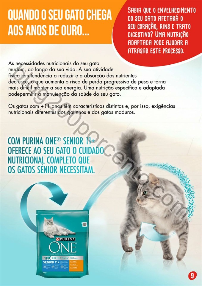 pingo doce pets 10.jpg