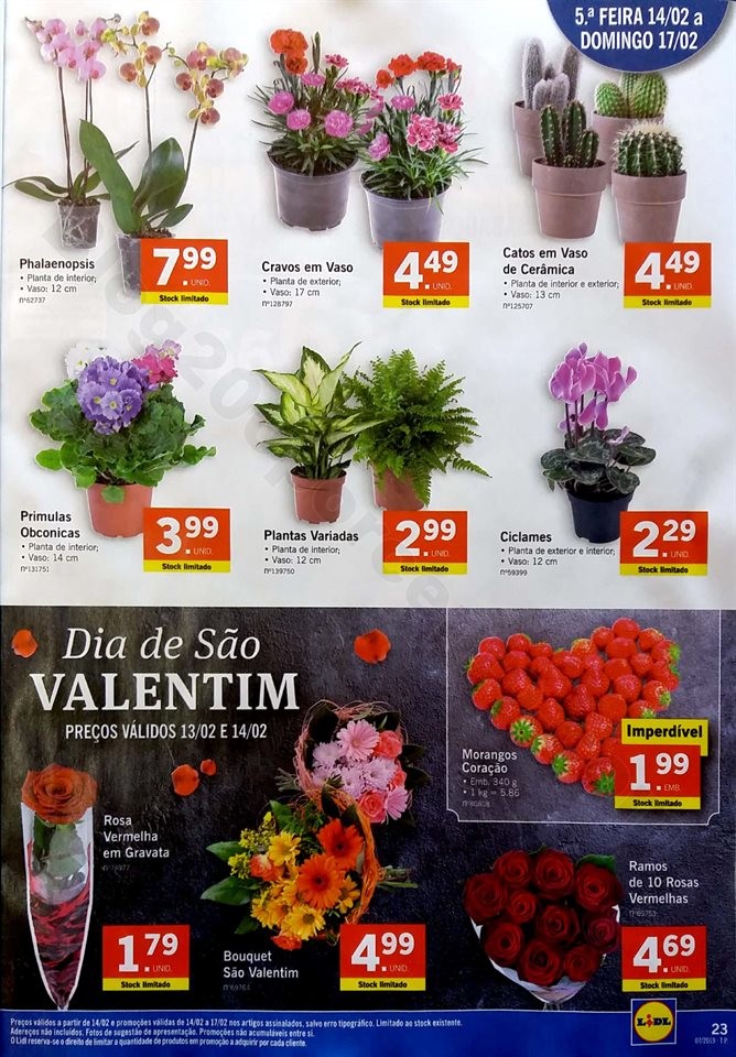 antevisao folheto lidl 11 a 17 fevereiro_23.jpg