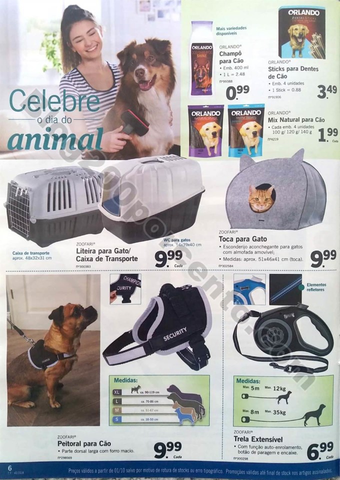 lidl bazar 1 e 4 outubro_6.jpg