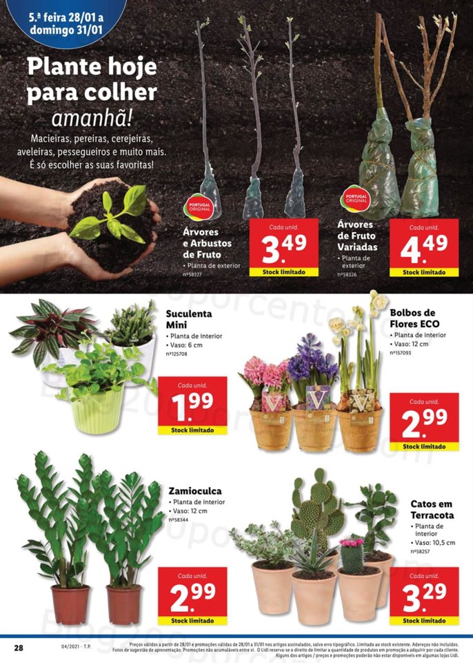 lidl 25 a 31 janeiro d-28.jpg