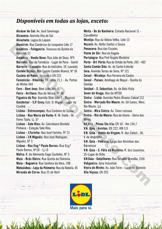 mercado plantas 16 maio_021.jpg