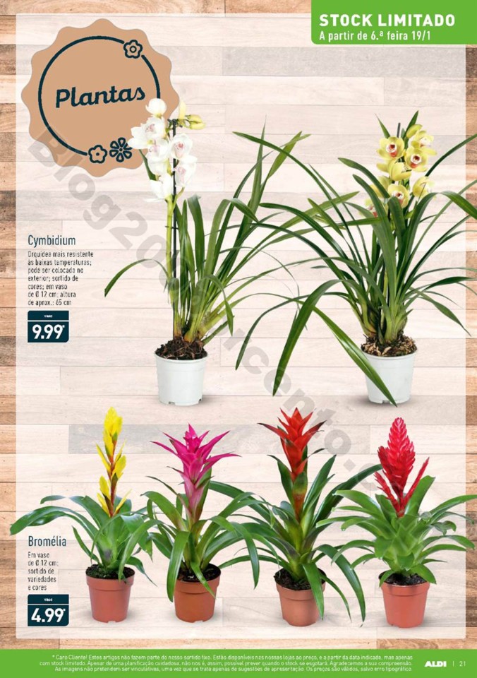 Antevisão Folheto ALDI Promoções a partir de 17