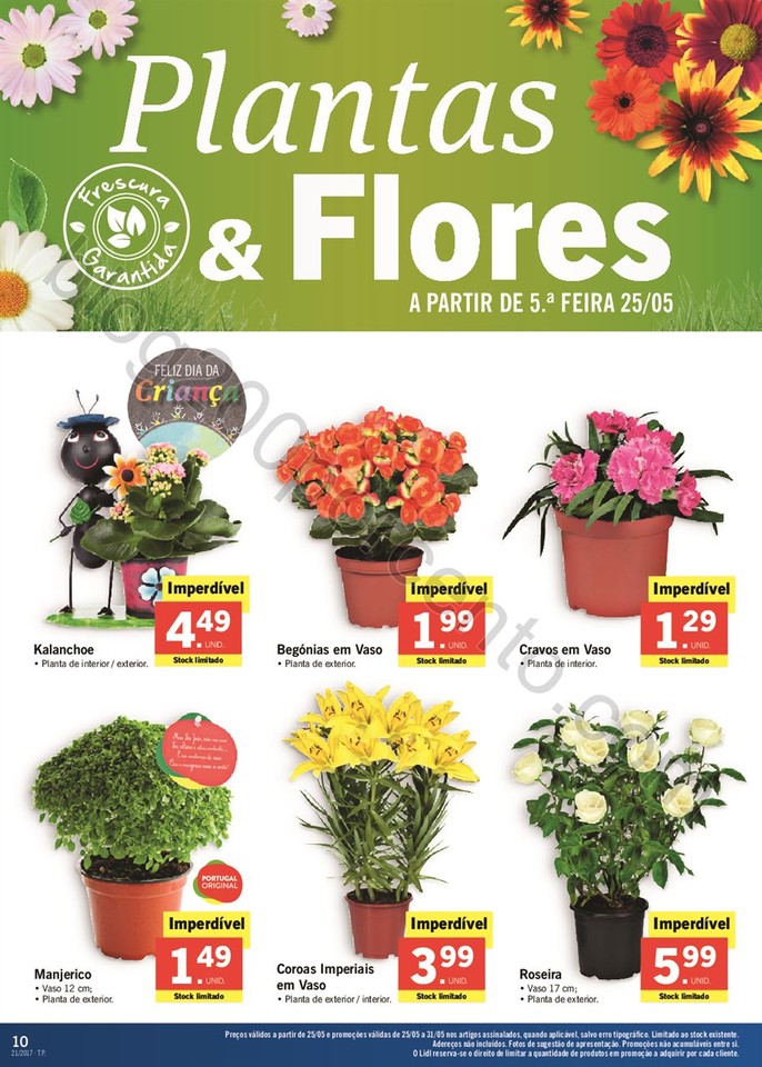 Promo_es_v_lidas_a_partir_de_25_05_2017_Mais_para_