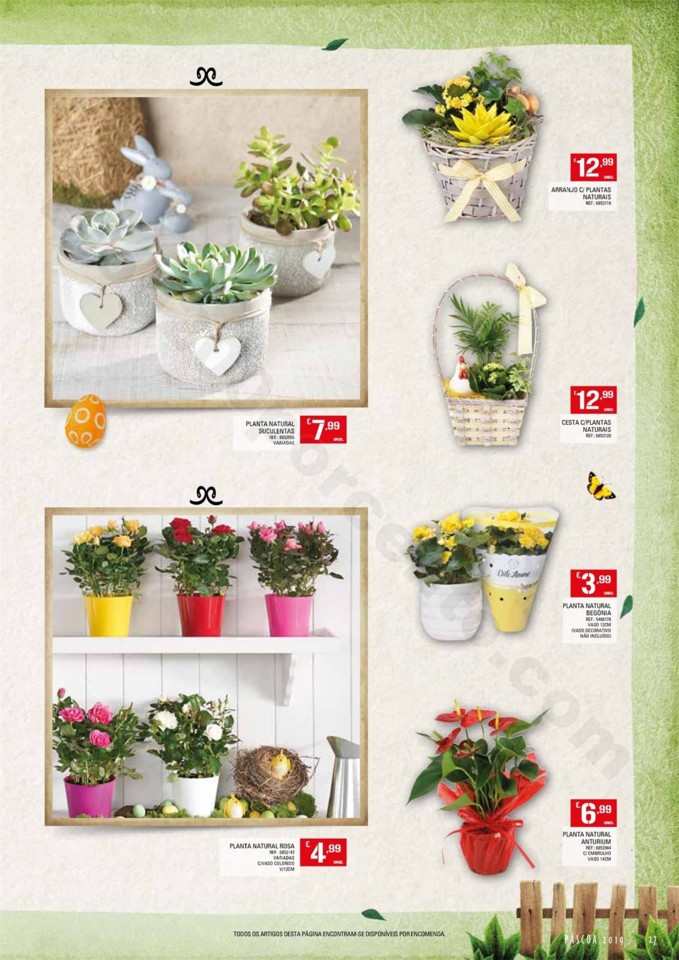 Antevisão Folheto CONTINENTE Madeira Páscoa Prom