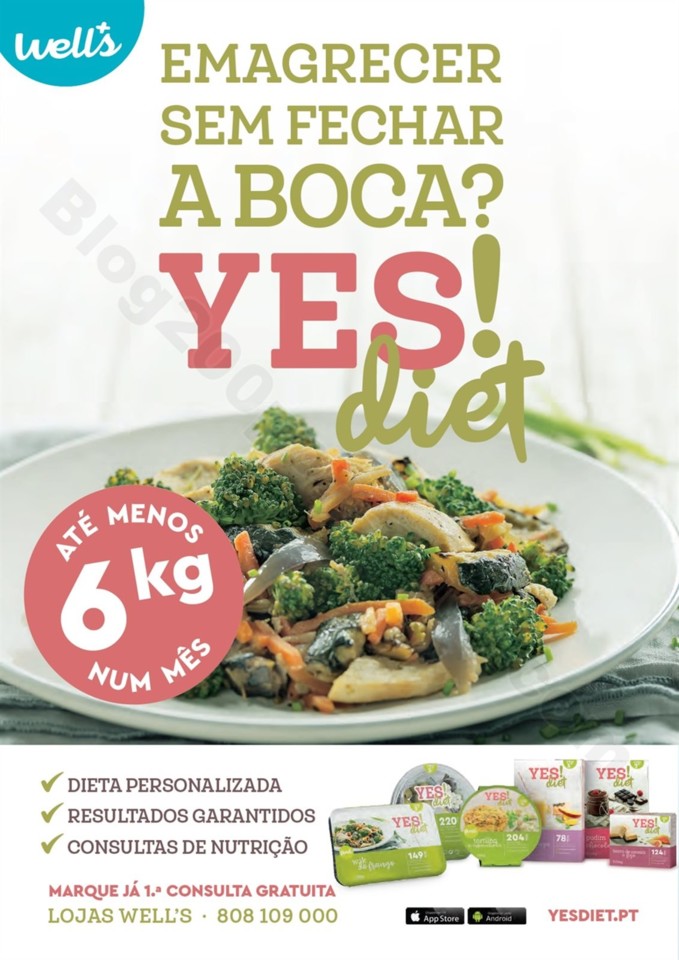 Antevisão Folheto WELLS Especial Cabelos 26 març