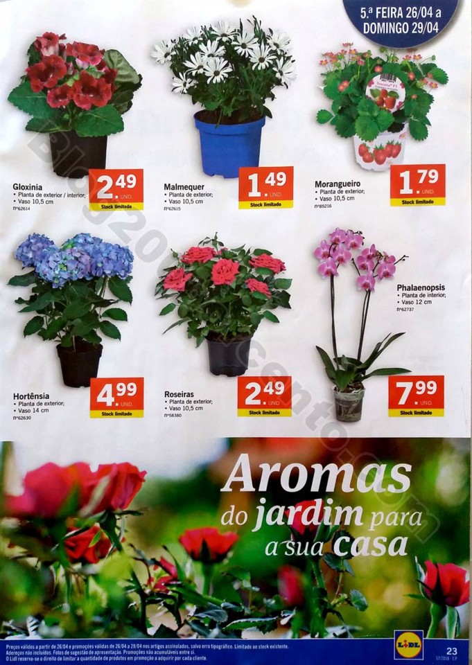 folheto lidl 23 a 29 abril_23.jpg