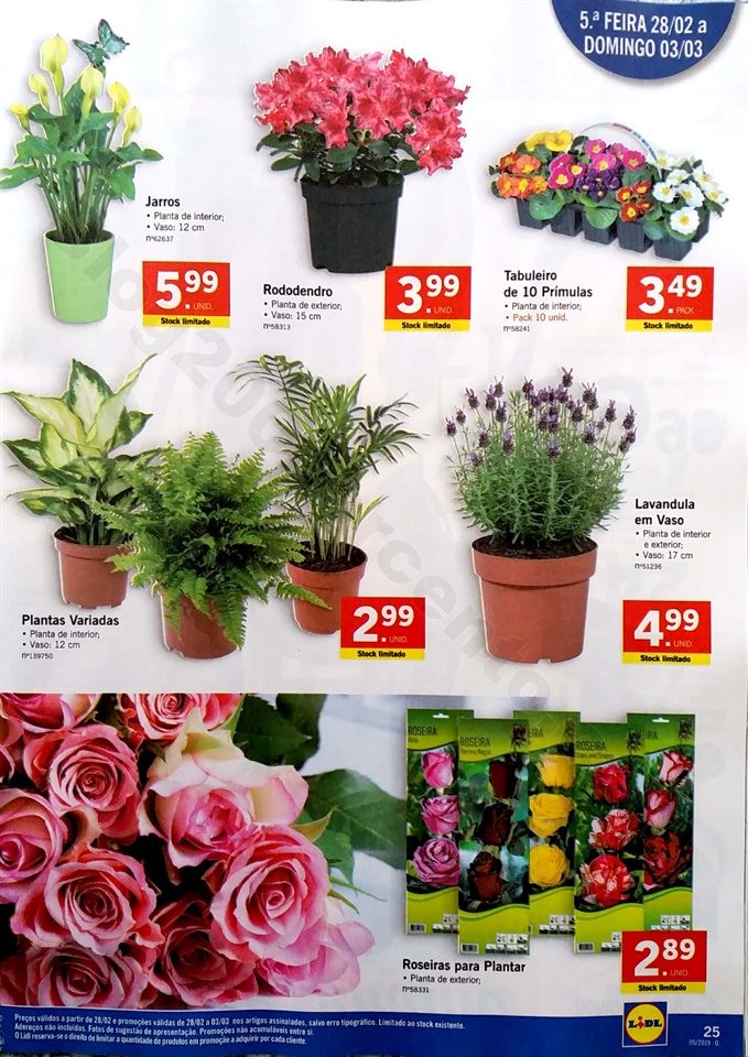 antevisao lidl 25 fevereiro a 3 marco_25.jpg