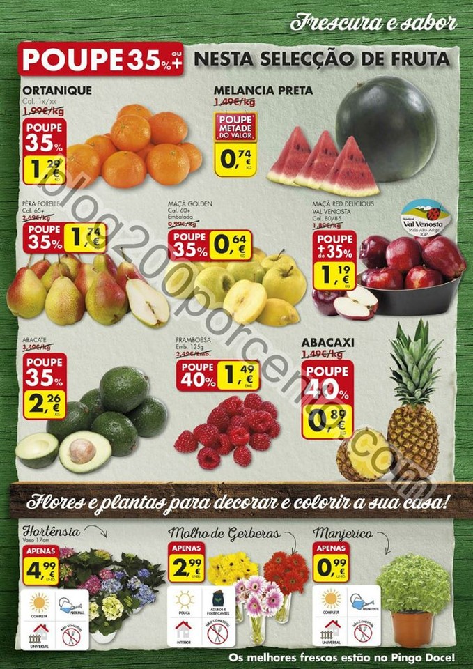 Antevisão Folheto PINGO DOCE Promoções de 24 a 