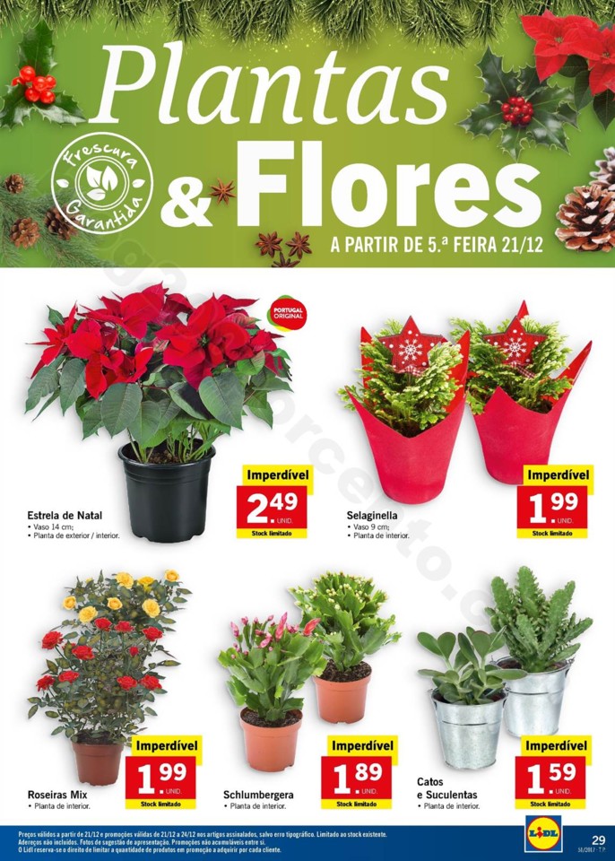 lidl promoções 18 dezembro (29).jpg