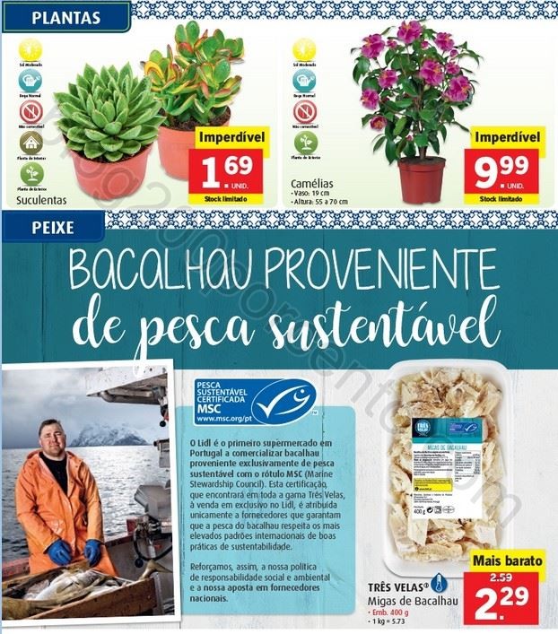 Promoções-Descontos-27257.jpg