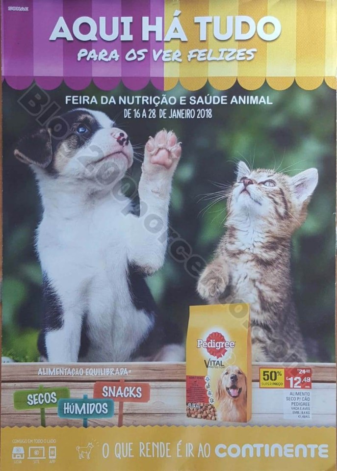 pets 16 janeiro (2).jpg