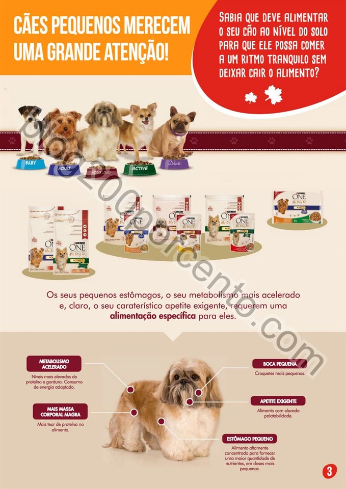 pingo doce pets 4.jpg
