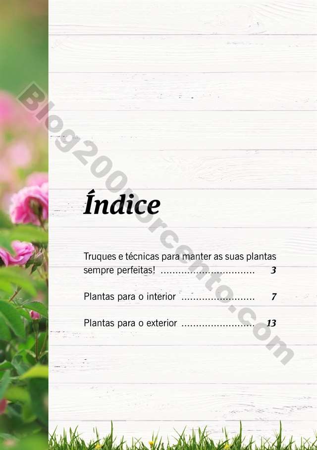 mercado plantas 16 maio_001.jpg