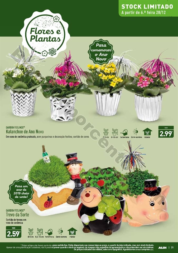 Antevisão Folheto ALDI Ano novo d10021.jpg