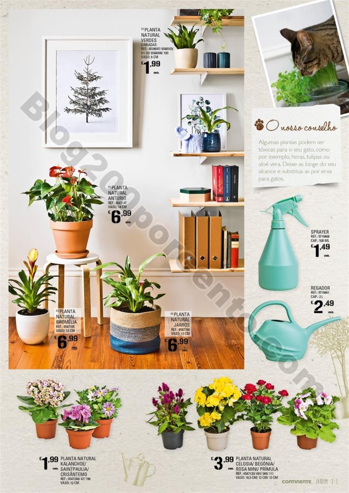 Antevisão Folheto CONTINENTE Jardim promoções d