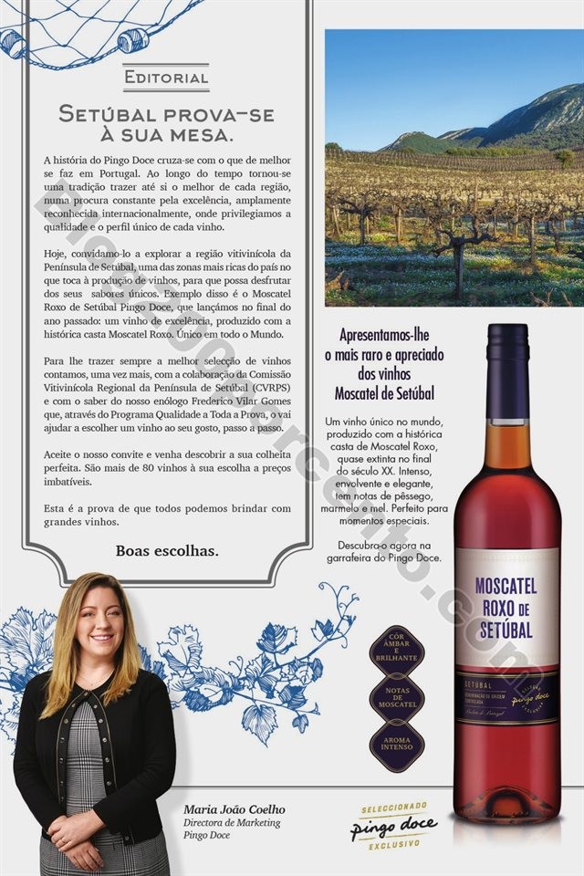 Antevisão Folheto PINGO DOCE Extra Vinhos Promoç