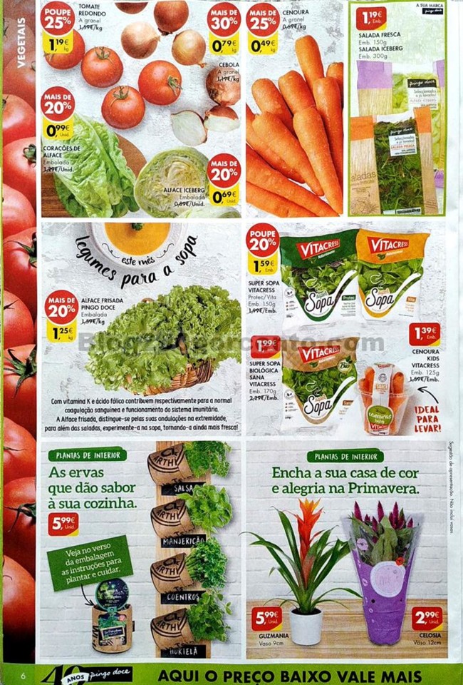 Pingo doce 10 a 16 março_6.jpg