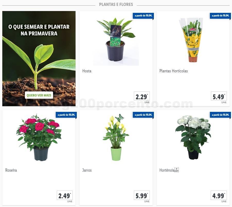 01 Promoções-Descontos-37177.jpg