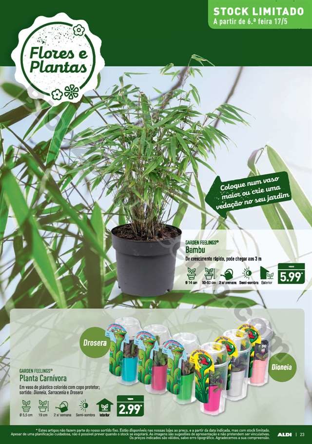 Antevisão Folheto ALDI Promoções a partir de 15