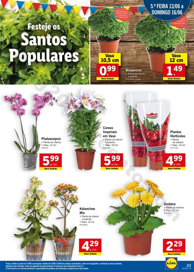 lidl santos populares 10 a 16 junho_022.jpg