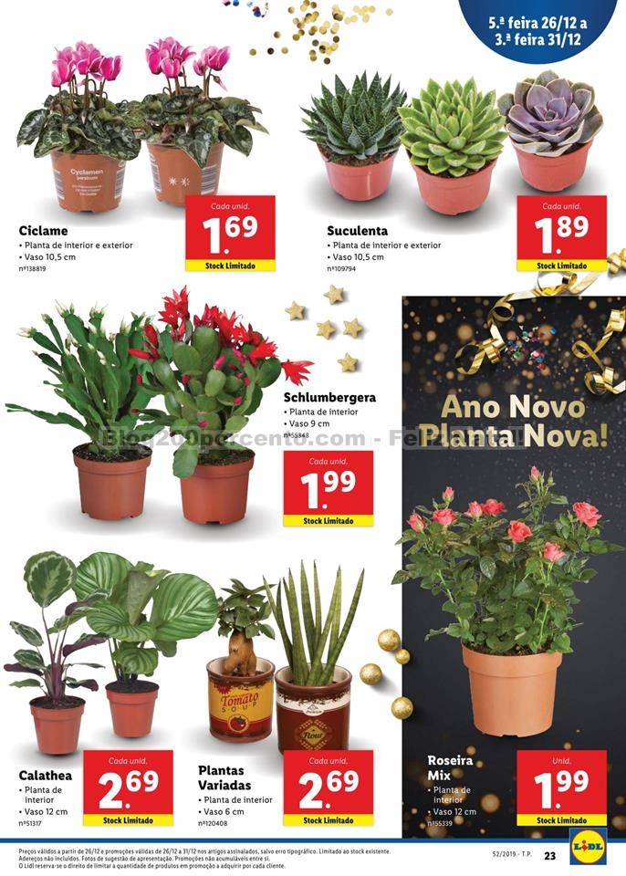 lidl ano novo 26 a 31 dezembro_0023.jpg