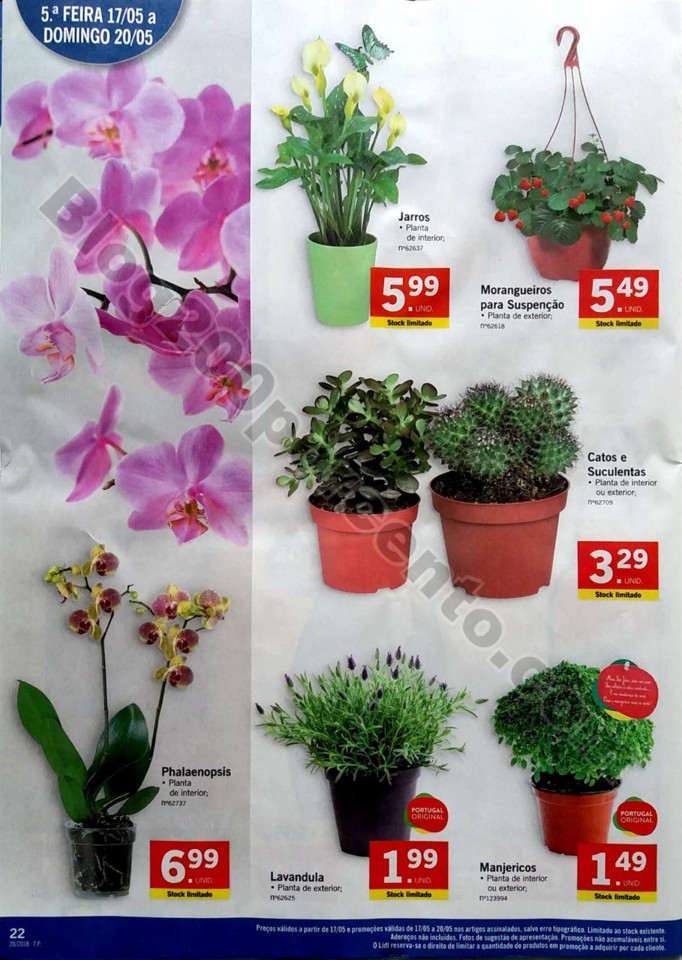 antevisao folheto lidl 14 a 20 maio_22.jpg