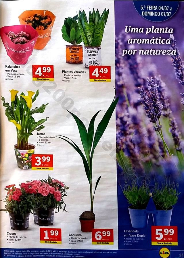 folheto lidl 1 a 7 julho_23.jpg