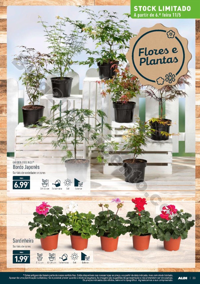 Antevisão Folheto ALDI Promoções a partir de 9 