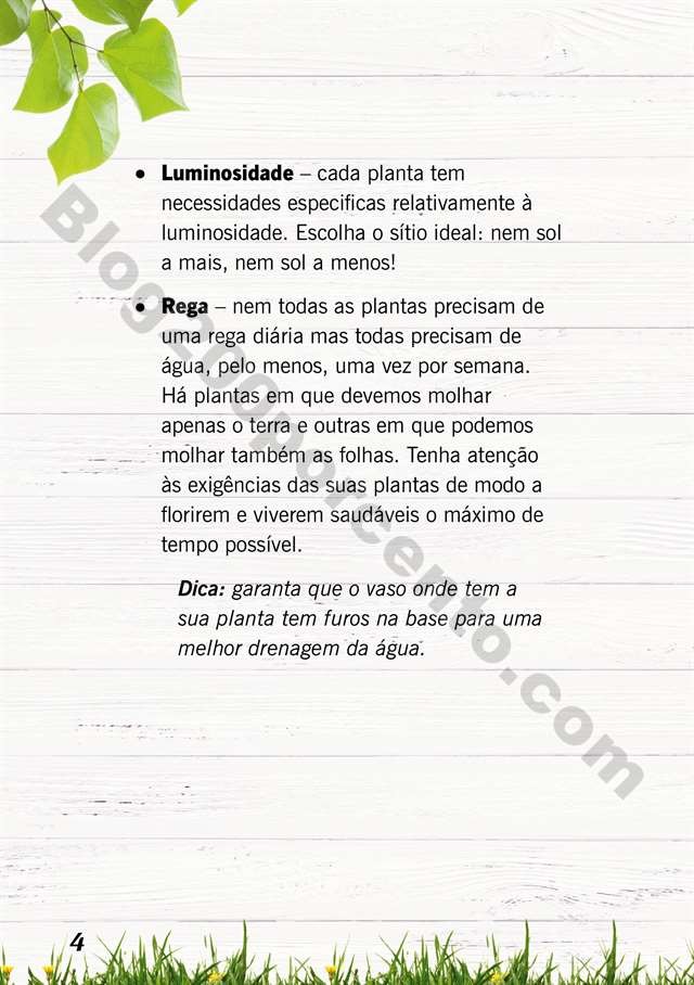 mercado plantas 16 maio_003.jpg