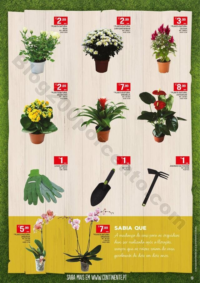 Antevisão Folheto CONTINENTE Pets Promoções de 