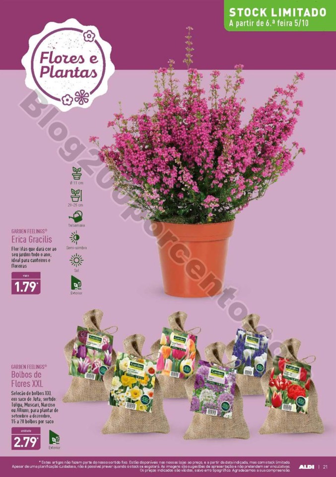Antevisão Folheto ALDI Promoções a partir de 3 