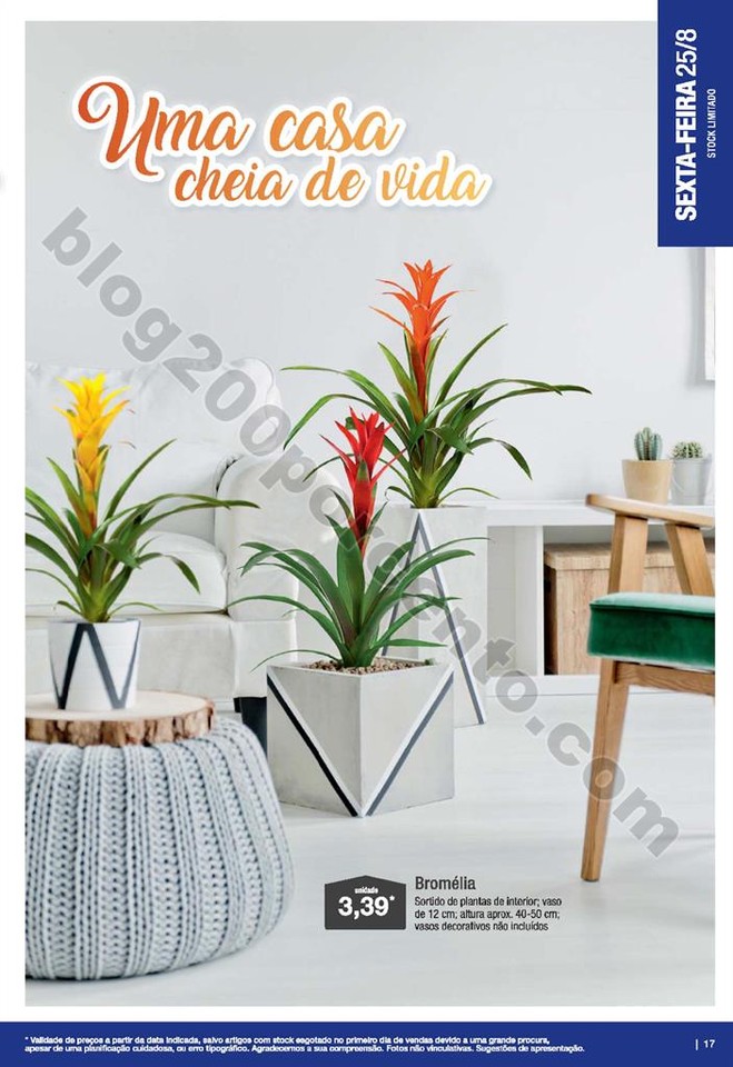 01 Antevisão ALDI a partir de 23 agosto p10017.jp