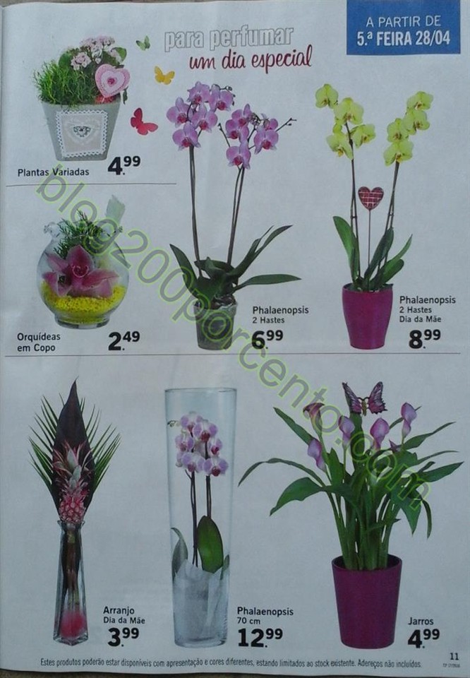 Novo Documento 3_11.jpg